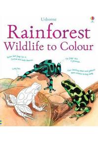 Copertă produs Rainforest Wildlife to Colour