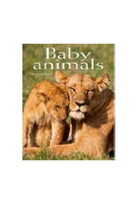 Copertă produs Baby Animals. Pocket Book