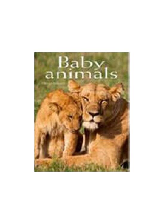 Copertă produs Baby Animals. Pocket Book - gallery big 1
