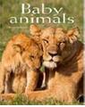 Copertă produs Baby Animals. Pocket Book - thumb 1