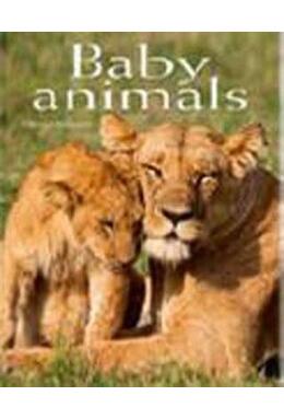 Copertă produs Baby Animals. Pocket Book