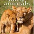 Copertă produs Baby Animals. Pocket Book - gallery small 