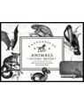 Copertă produs Vintage Prints Fantastical Animals Sticky Notes - thumb 1