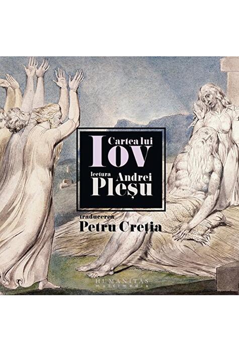 Copertă produs Cartea lui Iov (audiobook)