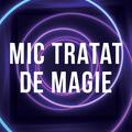 Copertă produs Mic tratat de magie - gallery small 
