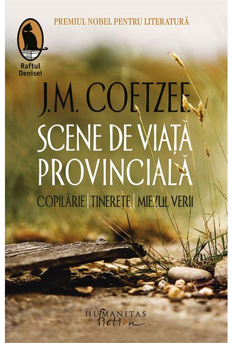 Copertă produs Scene de viaţă provincială