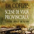 Copertă produs Scene de viaţă provincială - gallery small 
