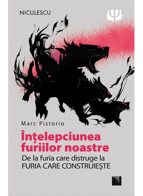 Copertă produs &Icirc;nţelepciunea furiilor noastre. De la furia care distruge la furia care construiește - gallery big 1