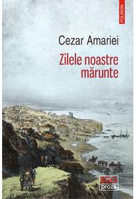 Copertă produs Zilele noastre mărunte