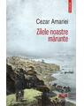 Copertă produs Zilele noastre mărunte - thumb 1