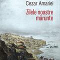 Copertă produs Zilele noastre mărunte - gallery small 