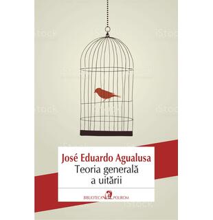 Teoria generală a uitării