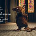 Copertă produs Invazia animalelor de pluș - Invasion of the Stuffed Animals (ediție bilingvă) - gallery small 