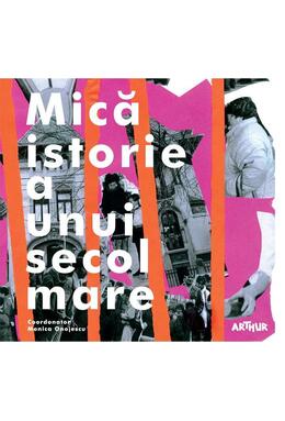 Copertă produs Mică istorie a unui secol mare