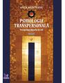 Copertă produs Psihologia transpersonală (Vol.I) Peregrinaj dincolo de văl - thumb 1