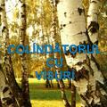 Copertă produs Colindătorul cu visuri - gallery small 