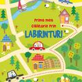 Copertă produs Prima mea călătorie prin labirinturi - gallery small 