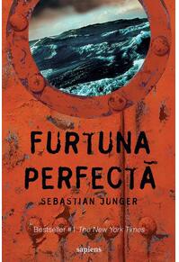Copertă produs Furtuna perfectă