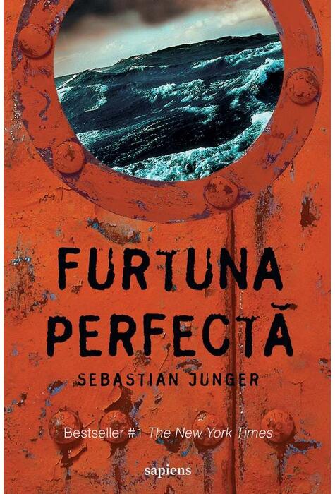 Copertă produs Furtuna perfectă