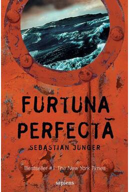 Copertă produs Furtuna perfectă