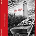 Copertă produs Pescărușul - gallery small 
