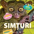 Copertă produs Simțuri. Seria Discover Science - gallery small 