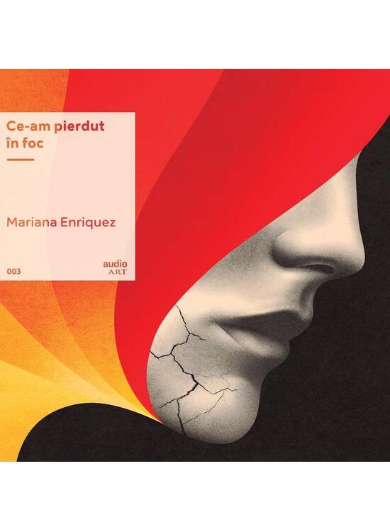 Copertă produs Ce-am pierdut &icirc;n foc | vinil audiobook - gallery big 1
