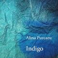 Copertă produs Indigo - gallery small 