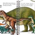 Copertă produs Dinozaurii - gallery small 