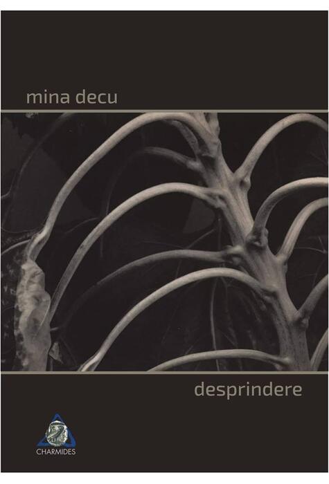 Copertă produs Desprindere