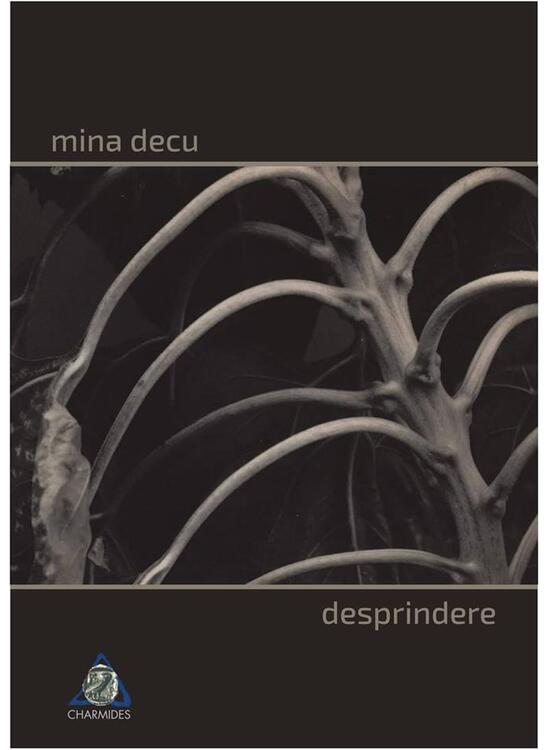 Copertă produs Desprindere - gallery big 1