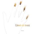 Copertă produs C&acirc;inele de bronz - gallery small 