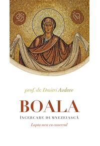 Copertă produs Boala, încercare dumnezeiască