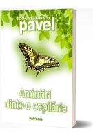 Imagine produs Amintiri dintr-o copilărie