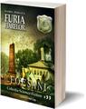 Copertă produs Furia Fiarelor. Focșani (Vol.1) Rom&acirc;nia Sub Asediu (RSA) - thumb 1