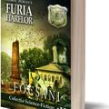 Copertă produs Furia Fiarelor. Focșani (Vol.1) Rom&acirc;nia Sub Asediu (RSA) - gallery small 