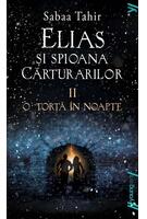Copertă produs O torță &icirc;n noapte (Vol. 2)