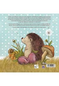 Copertă produs Brici, un arici mofturici