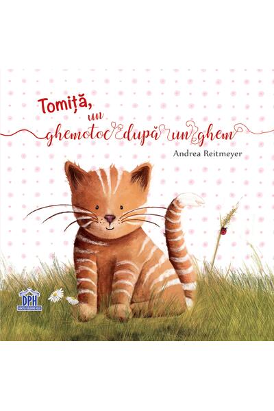 Tomiță, un ghemotoc după un ghem