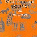 Copertă produs Meșterul de oglinzi - gallery small 
