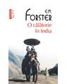 Copertă produs O călătorie în India (Top 10+) - thumb 1