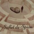 Copertă produs Suflet de spion - gallery small 