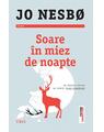 Copertă produs Soare &icirc;n miez de noapte. Seria Olav Johansen (Vol.2) - thumb 1
