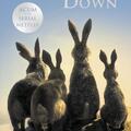 Copertă produs Watership Down - gallery small 