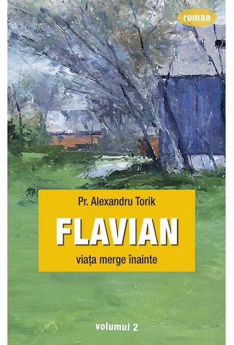 Copertă produs Viața merge &icirc;nainte (Vol. 2)