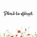 Copertă produs P&acirc;nă la sf&acirc;rșit - gallery small 