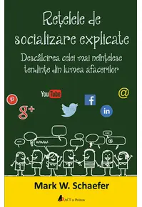 Rețelele de socializare explicate. Descâlcirea celei mai neînțelese tendinț...
