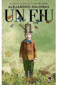 Copertă produs Un fiu