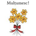 Copertă produs Mulțumesc! - gallery small 