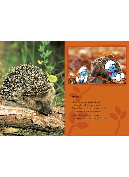 Copertă produs Ștrumfii și animalele din pădure - gallery big 2